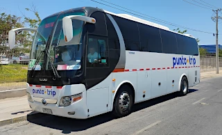 Servicios de buses de acercamiento